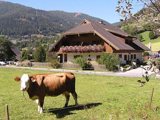 Unterwirt Apartment Bad Kleinkirchheim Ngoại thất bức ảnh
